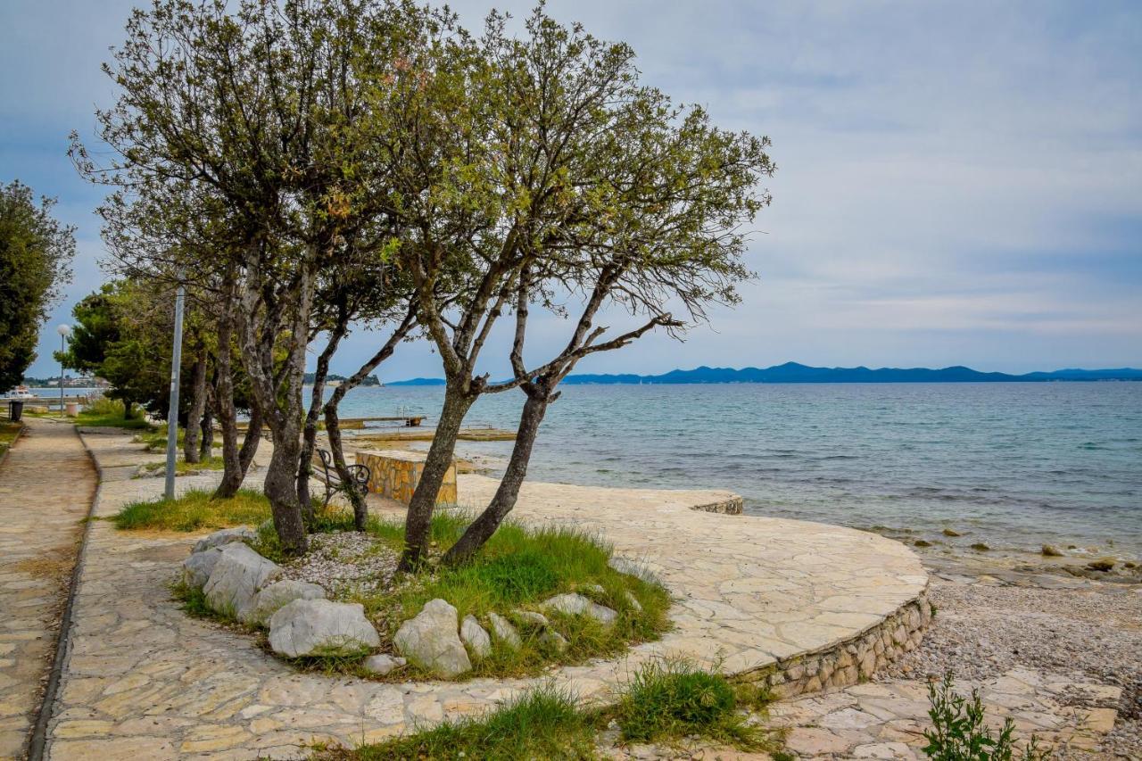 Locus Apartments Petrcane Εξωτερικό φωτογραφία